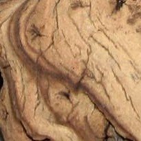 Фактура древесины мопани