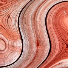 Фактура древесины розового дерева