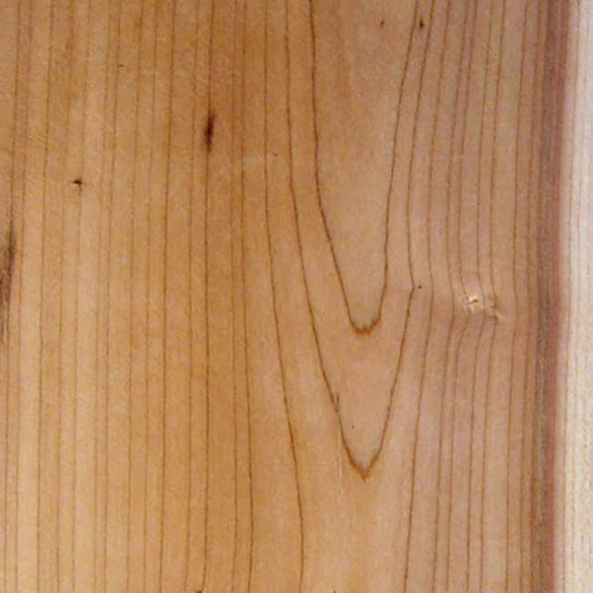 текстура древесины черемухи